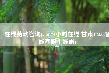 在线劳动咨询(7×24小时在线 甘肃12333智能客服上线啦)