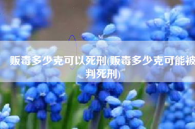 贩毒多少克可以死刑(贩毒多少克可能被判死刑)
