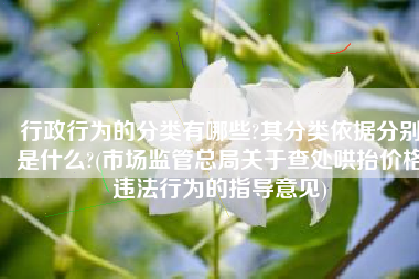 行政行为的分类有哪些?其分类依据分别是什么?(市场监管总局关于查处哄抬价格违法行为的指导意见)