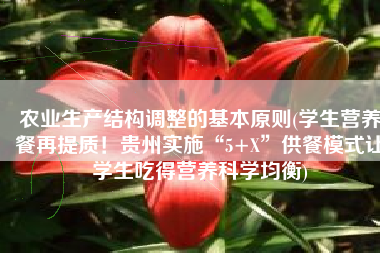 农业生产结构调整的基本原则(学生营养餐再提质！贵州实施“5+X”供餐模式让学生吃得营养科学均衡)