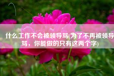 什么工作不会被领导骂(为了不再被领导骂，你能做的只有这两个字)