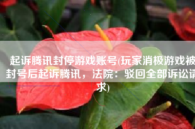 起诉腾讯封停游戏账号(玩家消极游戏被封号后起诉腾讯，法院：驳回全部诉讼请求)
