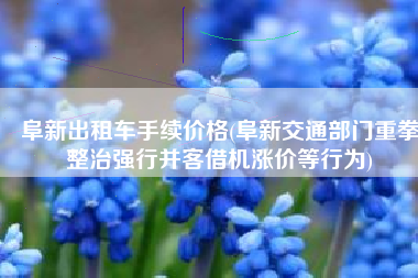 阜新出租车手续价格(阜新交通部门重拳整治强行并客借机涨价等行为)