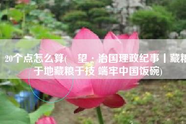 20个点怎么算(瞭望·治国理政纪事丨藏粮于地藏粮于技 端牢中国饭碗)