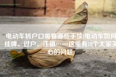 电动车转户口需要哪些手续(电动车如何挂牌、过户、注销……这里有18个大家关心的问题)