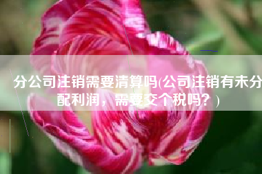 分公司注销需要清算吗(公司注销有未分配利润，需要交个税吗？)