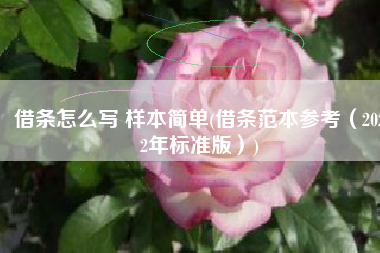 借条怎么写 样本简单(借条范本参考（2022年标准版）)