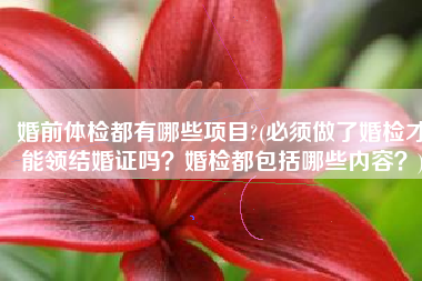 婚前体检都有哪些项目?(必须做了婚检才能领结婚证吗？婚检都包括哪些内容？)