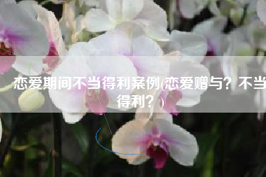 恋爱期间不当得利案例(恋爱赠与？不当得利？)