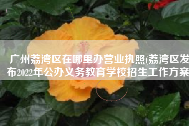 广州荔湾区在哪里办营业执照(荔湾区发布2022年公办义务教育学校招生工作方案)