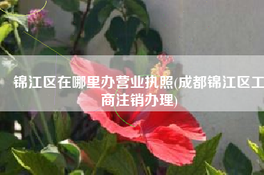 锦江区在哪里办营业执照(成都锦江区工商注销办理)