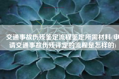 交通事故伤残鉴定流程鉴定所需材料(申请交通事故伤残评定的流程是怎样的)
