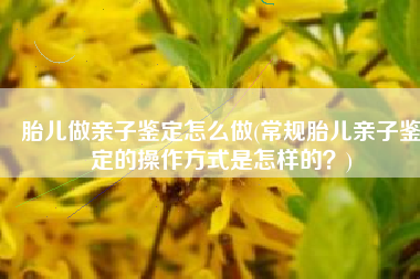 胎儿做亲子鉴定怎么做(常规胎儿亲子鉴定的操作方式是怎样的？)