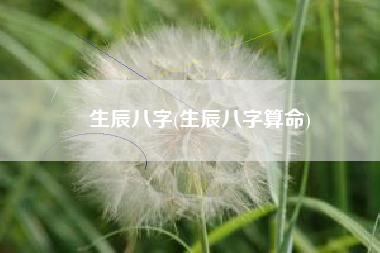 生辰八字(生辰八字算命)