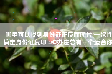 哪里可以找到身份证正反面图片(一次性搞定身份证复印 4种办法总有一个适合你)