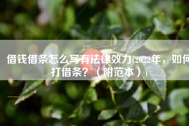 借钱借条怎么写有法律效力(2022年，如何打借条？（附范本）)