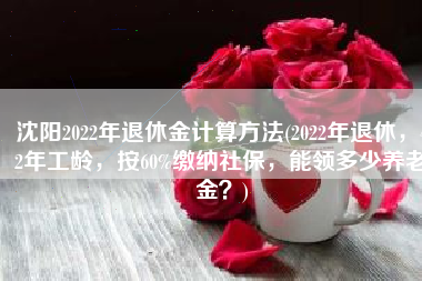 沈阳2022年退休金计算方法(2022年退休，42年工龄，按60%缴纳社保，能领多少养老金？)