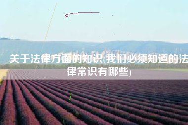 关于法律方面的知识(我们必须知道的法律常识有哪些)