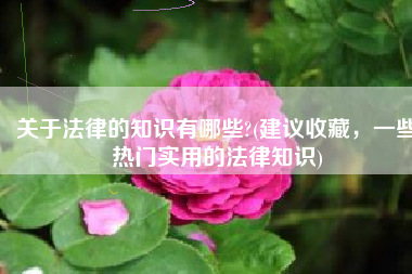 关于法律的知识有哪些?(建议收藏，一些热门实用的法律知识)