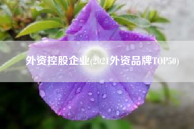 外资控股企业(2021外资品牌TOP50)