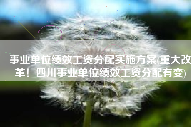 事业单位绩效工资分配实施方案(重大改革！四川事业单位绩效工资分配有变)