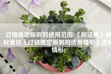 过错推定原则的适用范围(《民法典》侵权责任（过错推定原则的适用情形）适用情形)