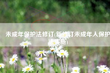 未成年保护法修订(新修订未成年人保护法实施)