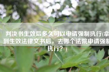 判决书生效后多久可以申请强制执行(拿到生效法律文书后，去哪个法院申请强制执行？)