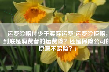运费险赔付少于实际运费(运费险拒赔，到底是消费者的运费险？还是保险公司的稳赚不赔险？)