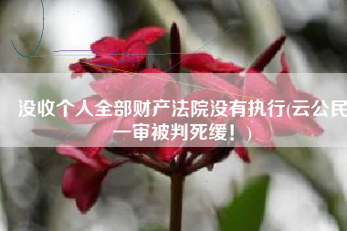 没收个人全部财产法院没有执行(云公民一审被判死缓！)