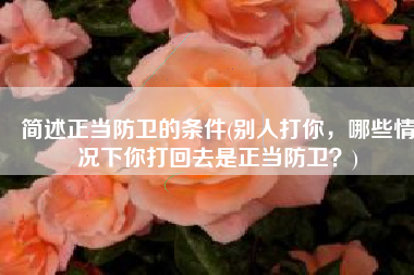 简述正当防卫的条件(别人打你，哪些情况下你打回去是正当防卫？)