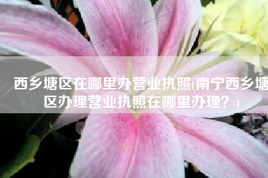 西乡塘区在哪里办营业执照(南宁西乡塘区办理营业执照在哪里办理？)