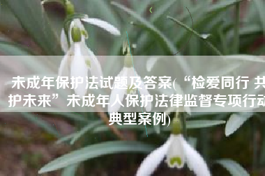 未成年保护法试题及答案(“检爱同行 共护未来”未成年人保护法律监督专项行动典型案例)