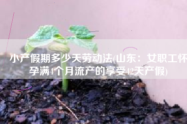 小产假期多少天劳动法(山东：女职工怀孕满4个月流产的享受42天产假)