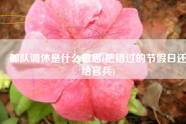 部队调休是什么意思(把错过的节假日还给官兵)
