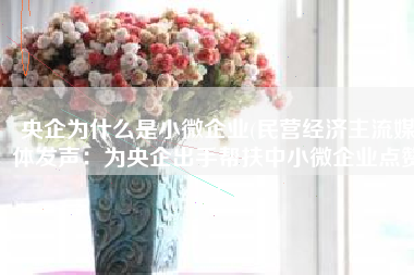央企为什么是小微企业(民营经济主流媒体发声：为央企出手帮扶中小微企业点赞)
