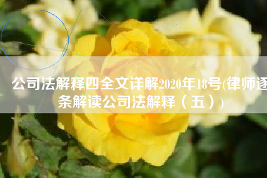 公司法解释四全文详解2020年18号(律师逐条解读公司法解释（五）)