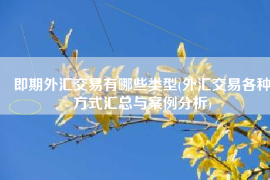 即期外汇交易有哪些类型(外汇交易各种方式汇总与案例分析)