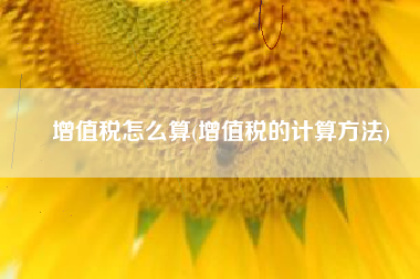 增值税怎么算(增值税的计算方法)