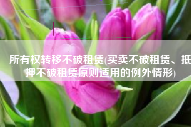 所有权转移不破租赁(买卖不破租赁、抵押不破租赁原则适用的例外情形)