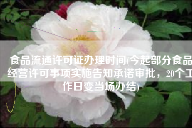 食品流通许可证办理时间(今起部分食品经营许可事项实施告知承诺审批，20个工作日变当场办结)