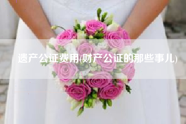 遗产公证费用(财产公证的那些事儿)