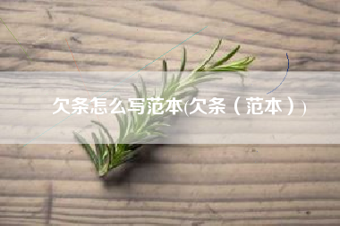 欠条怎么写范本(欠条（范本）)