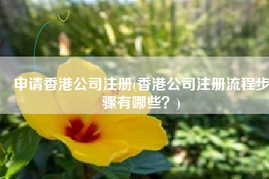 申请香港公司注册(香港公司注册流程步骤有哪些？)