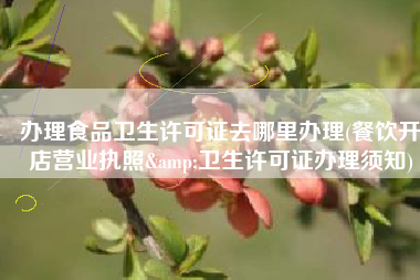 办理食品卫生许可证去哪里办理(餐饮开店营业执照&卫生许可证办理须知)