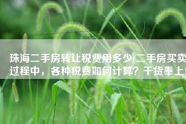珠海二手房转让税费用多少(二手房买卖过程中，各种税费如何计算？干货奉上)