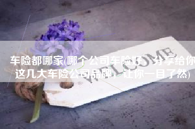 车险都哪家(哪个公司车险好，分享给你这几大车险公司品牌，让你一目了然)