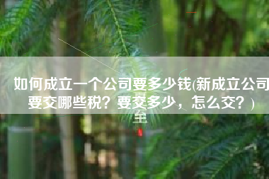 如何成立一个公司要多少钱(新成立公司要交哪些税？要交多少，怎么交？)