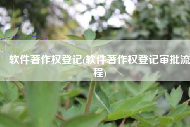 软件著作权登记(软件著作权登记审批流程)