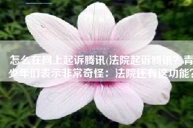 怎么在网上起诉腾讯(法院起诉腾讯？青少年们表示非常奇怪：法院还有这功能？)